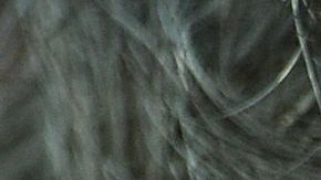 El francés tampoco está feliz con el videoarbitraje.