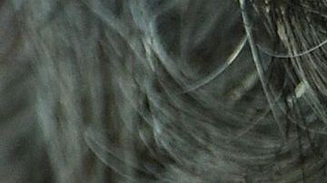 El francés tampoco está feliz con el videoarbitraje.