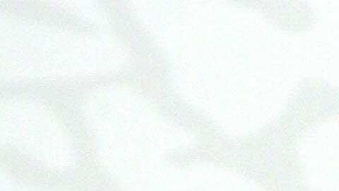 Michael Jordan es la estrella de la NBA con más ganancias por venta de calzado de junio del 2018 a mayo del 2019.