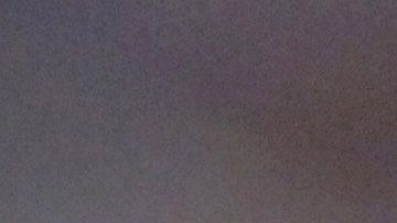 Charles Rogers padecía cáncer y una enfermedad que dañaba su hígado fue receptor estrella de Michigan State University.