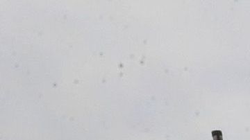 Policía de Chicago.