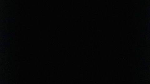 Nicklas Bendtner reveló los excesos de la selección danesa.