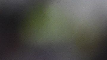 Guido Rodríguez fue elegido el mejor jugador de la temporada anterior en la Liga MX.