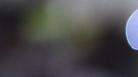 Guido Rodríguez fue elegido el mejor jugador de la temporada anterior en la Liga MX.