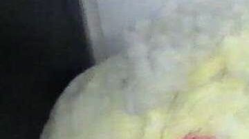 La droga estaba el interior de los osos de peluche.