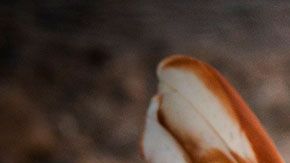 El hombre pensó que podría escoger el número de gallinas con el que se quedaría.