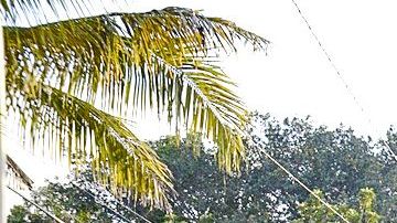Violencia en Acapulco.