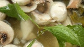 Los hongos destacan por ser un alimento generoso y bajo en calorías.