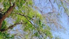 Unidad de las Paredes en la Prisión de Huntsville, en Texas, donde se realizan las ejecuciones..