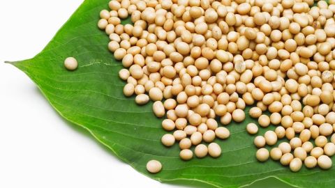 Una maravillosa alternativa a la carne es la soja, es una de las mejores proteínas vegetales que existen.