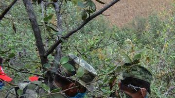 Fosas clandestinas en México.