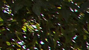 Ricardo Peláez y Miguel Herrera.