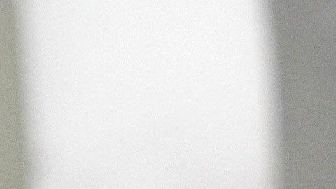 De concretarse el negocio, Camoranesi regresaría a una liga que conoce.