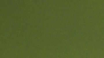 La afición no está contenta con su trabajo y lo mostraron de la peor manera.