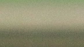 Paolo Goltz es uno de los jugadores que El Pelusa pidió como refuerzo.