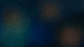 El canino hizo su aparición en el juego entre Charros y Cañeros de la Liga Mexicana del Pacífico.