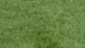 Miguel Layún y Javier 'Chicharito' Hernández.