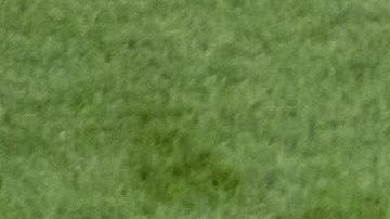 Miguel Layún y Javier 'Chicharito' Hernández.