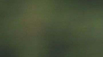 David Rodríguez estará a prueba con el Bayern Munich.