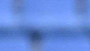 Macro Fabián echó abajo los rumores de su posible regreso al Rebaño.