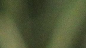 Higuera dejó de pertenecer a Chivas en junio pasado.