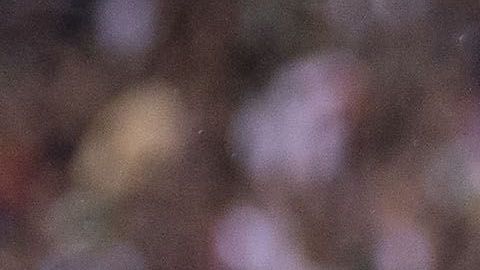 Uriel Antuna firmará su contrato con Chivas en los próximos días.