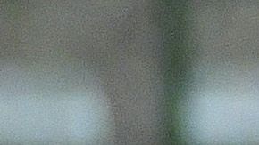 El Tri está obligado a buscar un milagro para poder avanzar a la siguiente ronda del mundial sub 17.