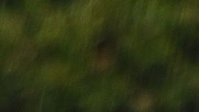 Las futbolistas se tuvieron que esconder en los baños.