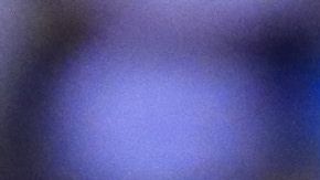 La directiva del rebaño lo descartó por tener más de 55 años.