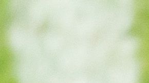 Fueron homenajeados los integrantes de la selección Sub 17 que lograron el subcampeonato en el Mundial en Brasil.