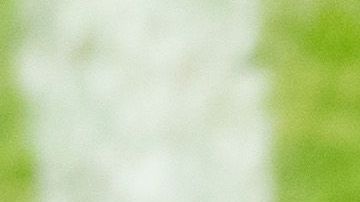 Fueron homenajeados los integrantes de la selección Sub 17 que lograron el subcampeonato en el Mundial en Brasil.