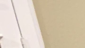 Jessica Valenzuela y sus hijos Paola, Emanuel, Emma y Samara; y su hermana Gabriela, solicitantes de asilo encontraron un lugar donde vivir. (Araceli Martínez/La Opinión)