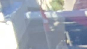 Zoila Flores Rosales, nueva residente de los EEUU tras más de 20 años de vivir con el programa TPS. (Araceli Martínez/La Opinión).