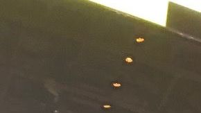 La arena del MGM Grand en las peleas preliminares.