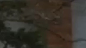 Tragedia doble en Bayville