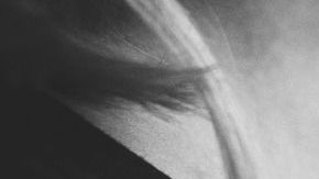 Crédito: StockSnap/Pixabay