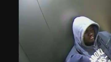 Captados en una cámara de seguridad