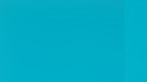 Las acciones de la compañía han perdido un 80% de su valor.