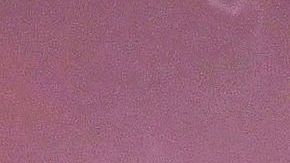 Danna Paola sube a Instagram fotos muy sexys.