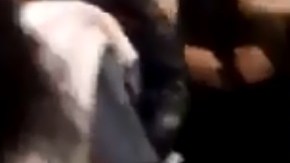 Los videos se han vuelto virales.