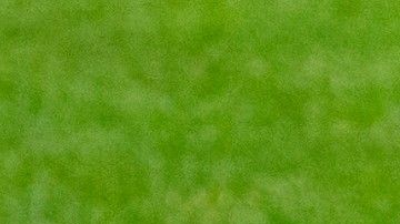 El mercado invernal parece que será duro porque a la puja se sumó el Wolverhampton.