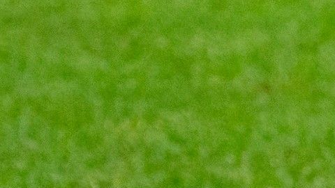 El mercado invernal parece que será duro porque a la puja se sumó el Wolverhampton.