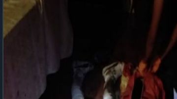 Lucha entre gente del Mencho y la Unión Tepito deja fiesta de niños bañada en sangre