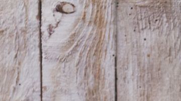 lunch-loncera-pxhere