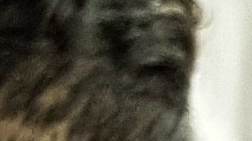 El cura abusó de la niña por varios meses.