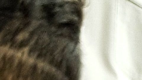 El cura abusó de la niña por varios meses.
