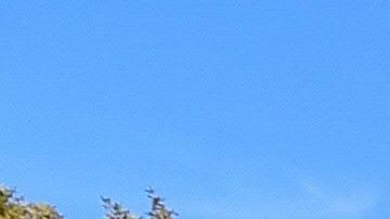 Un altar en Central Park, cerca de la escuela  Saugus, recuerda a las víctimas del tiroteo.