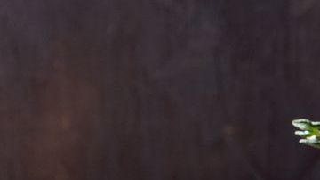 La cebolla y el ajo contienen un compuesto activo que se llama alicina, que los convierte en un poderoso alimento antioxidante.