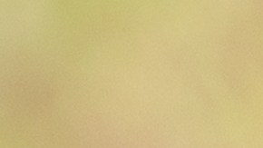 Los trabajadores de la industria de servicios deben defender sus derechos laborales.