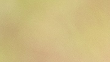 Los trabajadores de la industria de servicios deben defender sus derechos laborales.